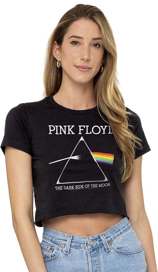 famous emblem, dark side of the moon of pink floyd with rainbow and triangle