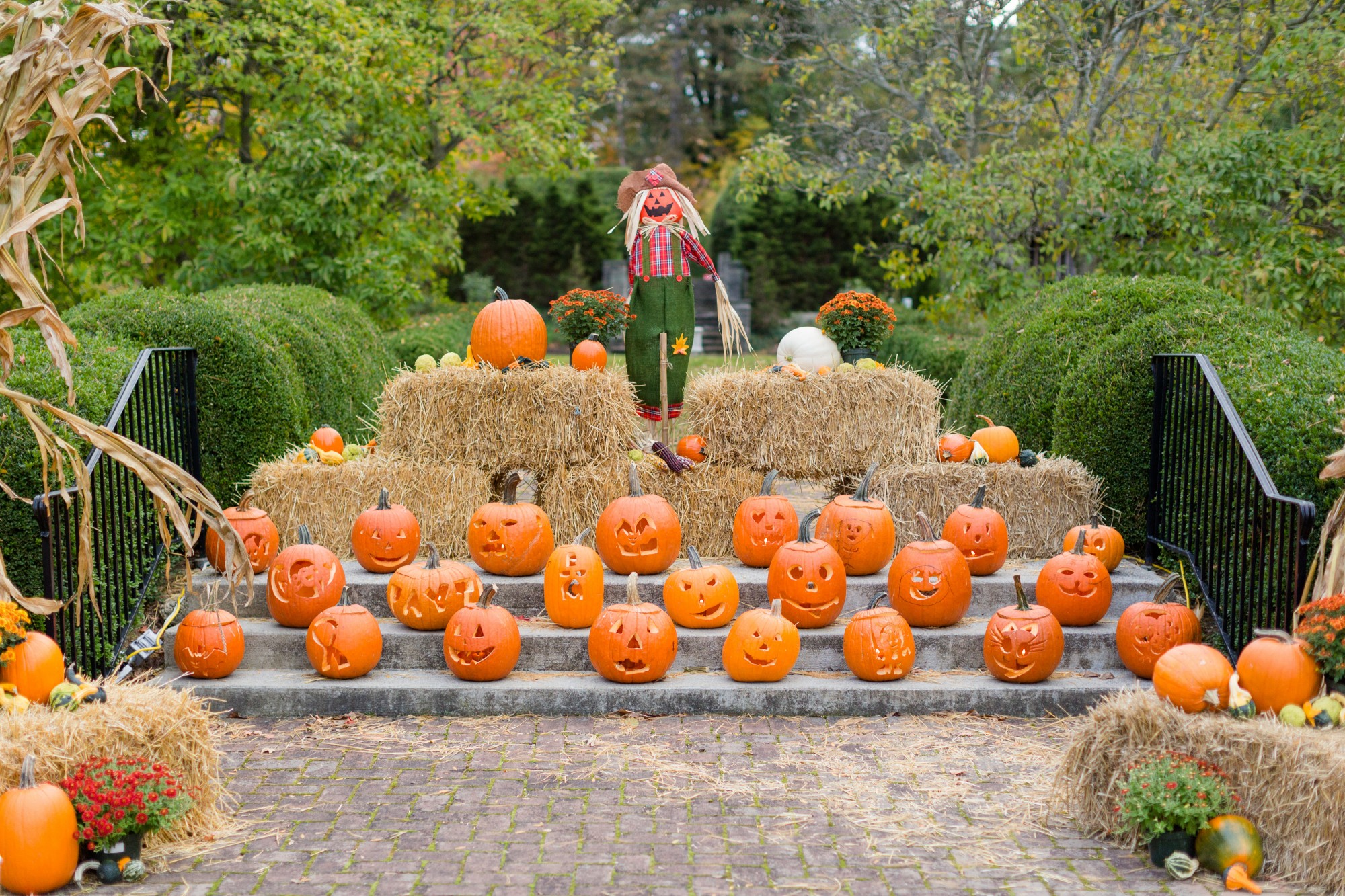 The Great Pumpkin Glow