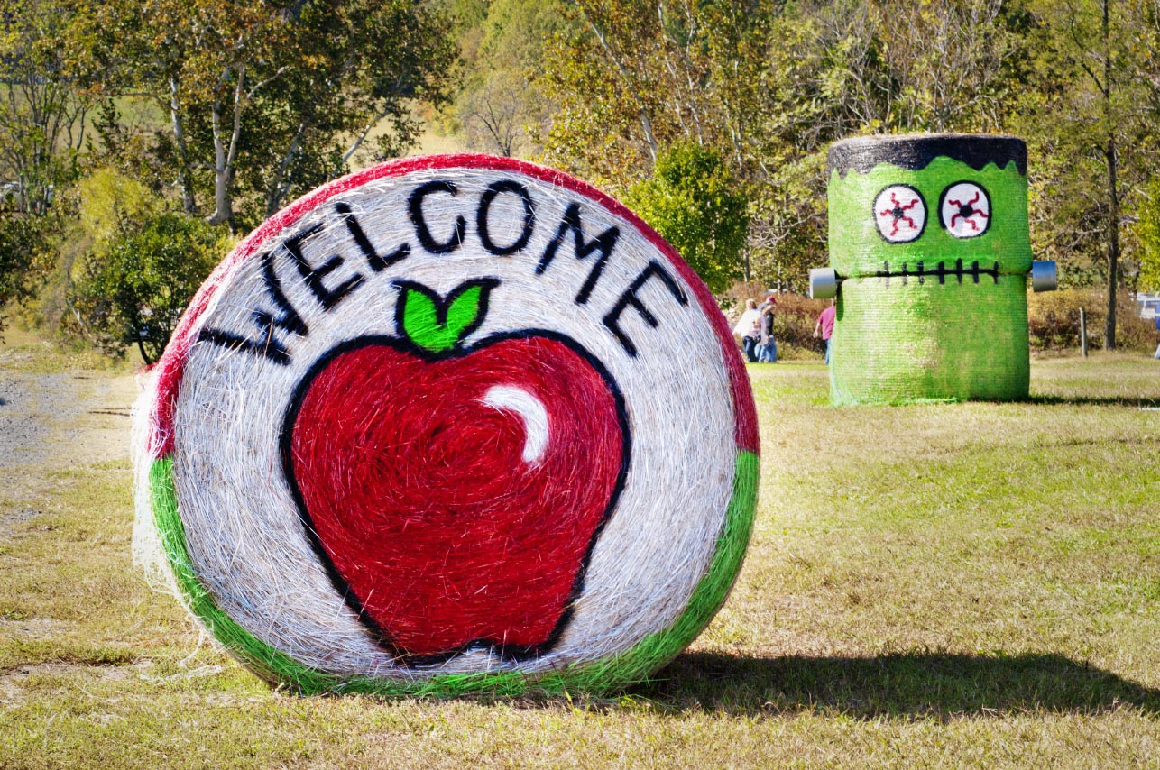 Murphysboro Apple Festival