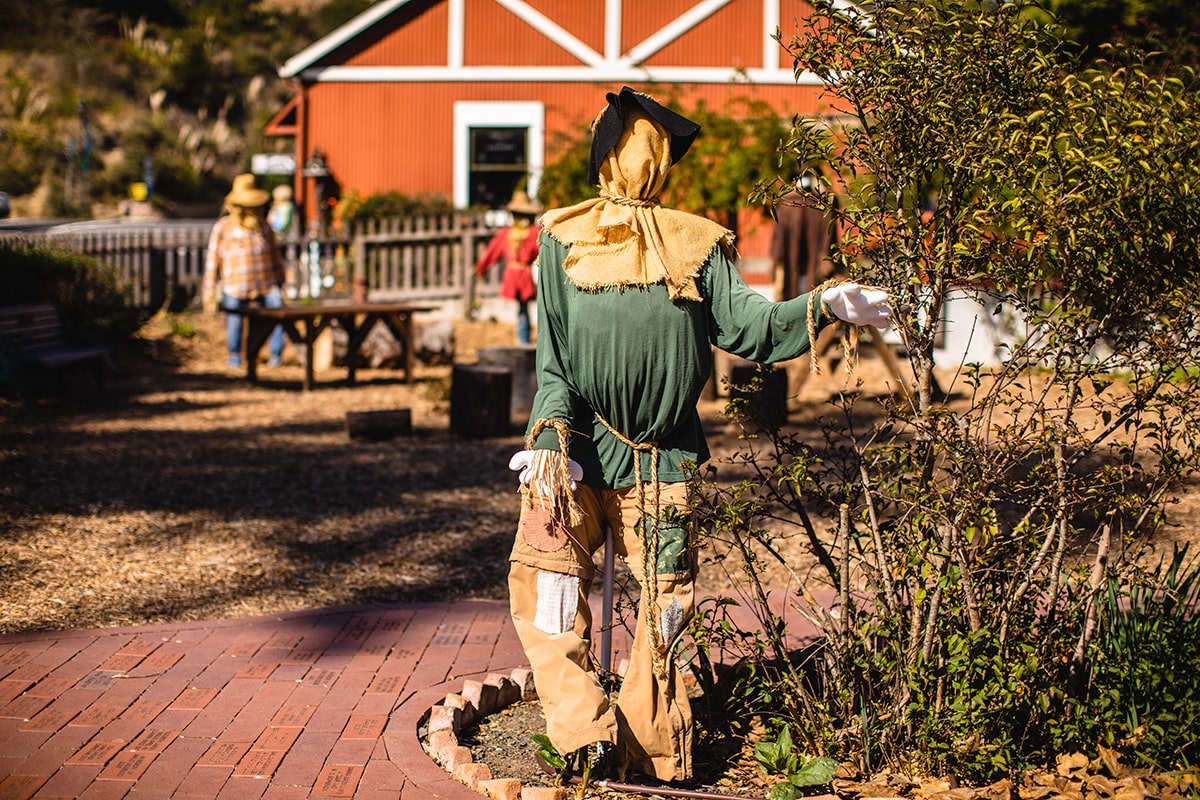 The Scarecrow Festival