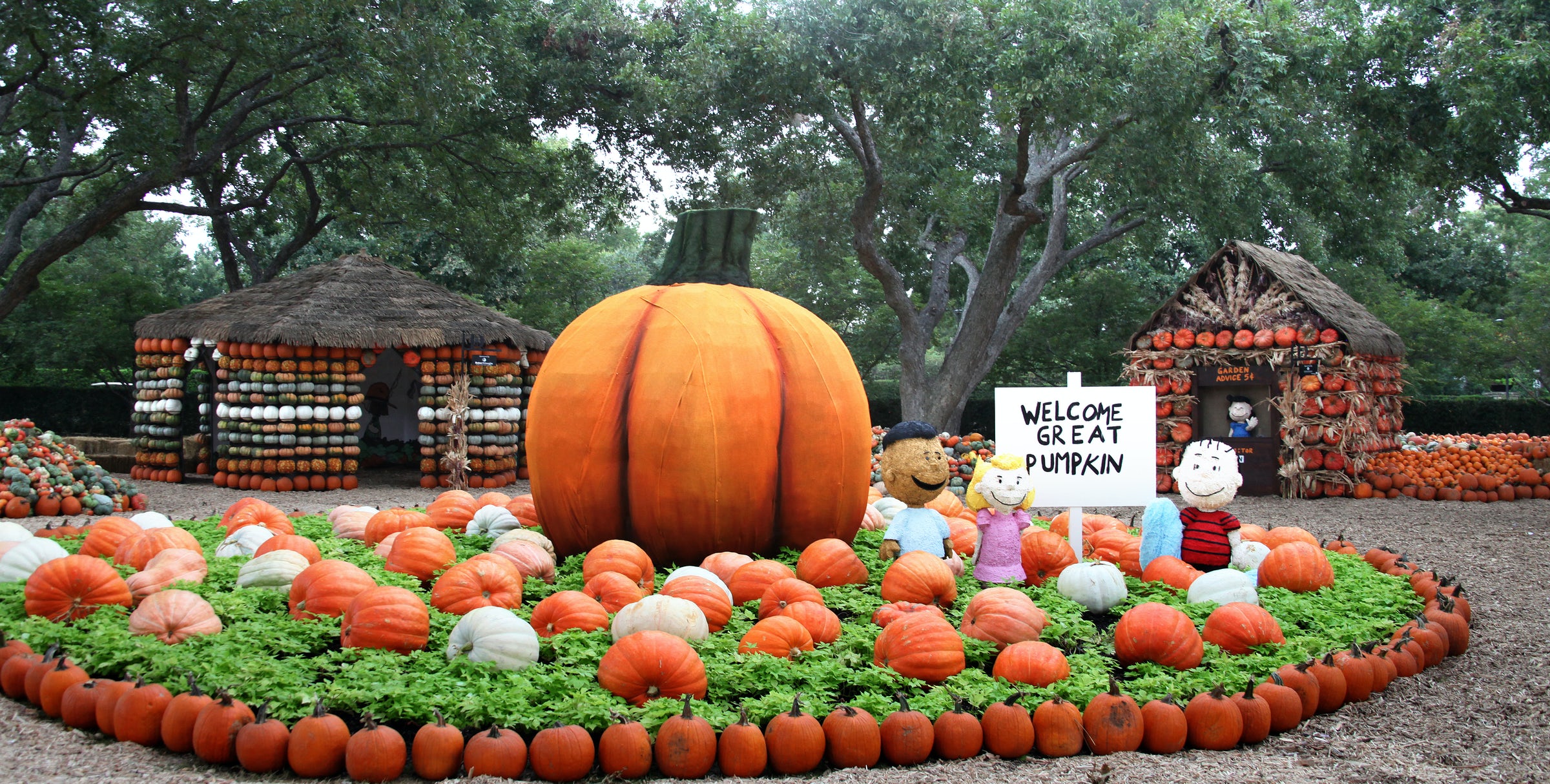 Good Treats From Local Restaurants 