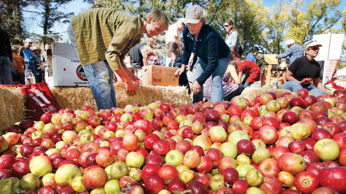 Where Is The Bayfield Apple Festival Located?