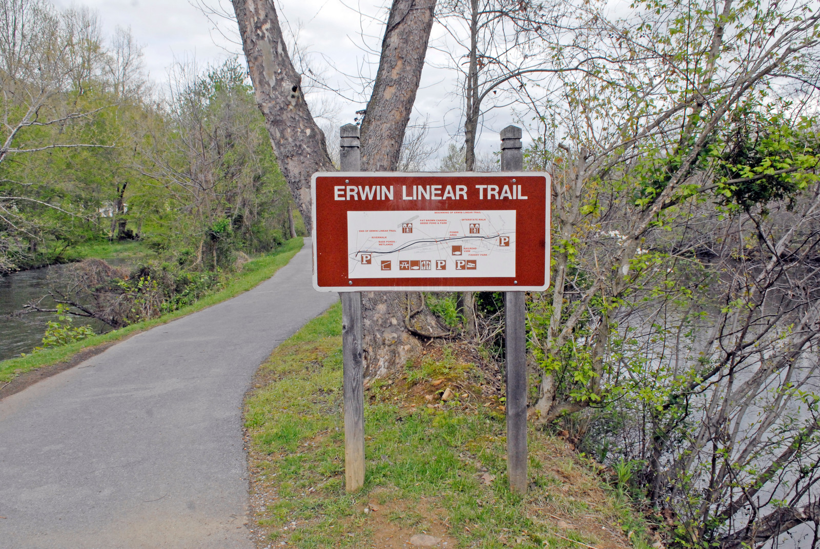 Walk Along Erwin Linear Trail