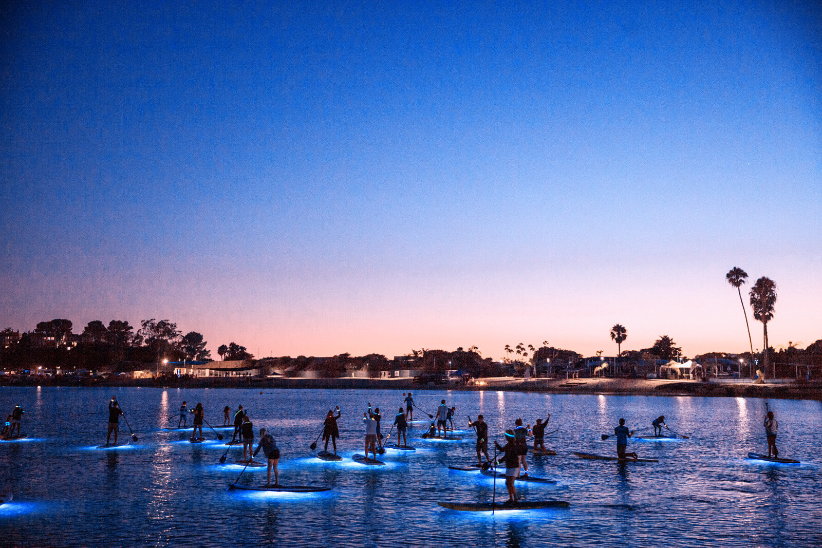  the paddle on a night in Castine Harbor's Bioluminescent Bay
