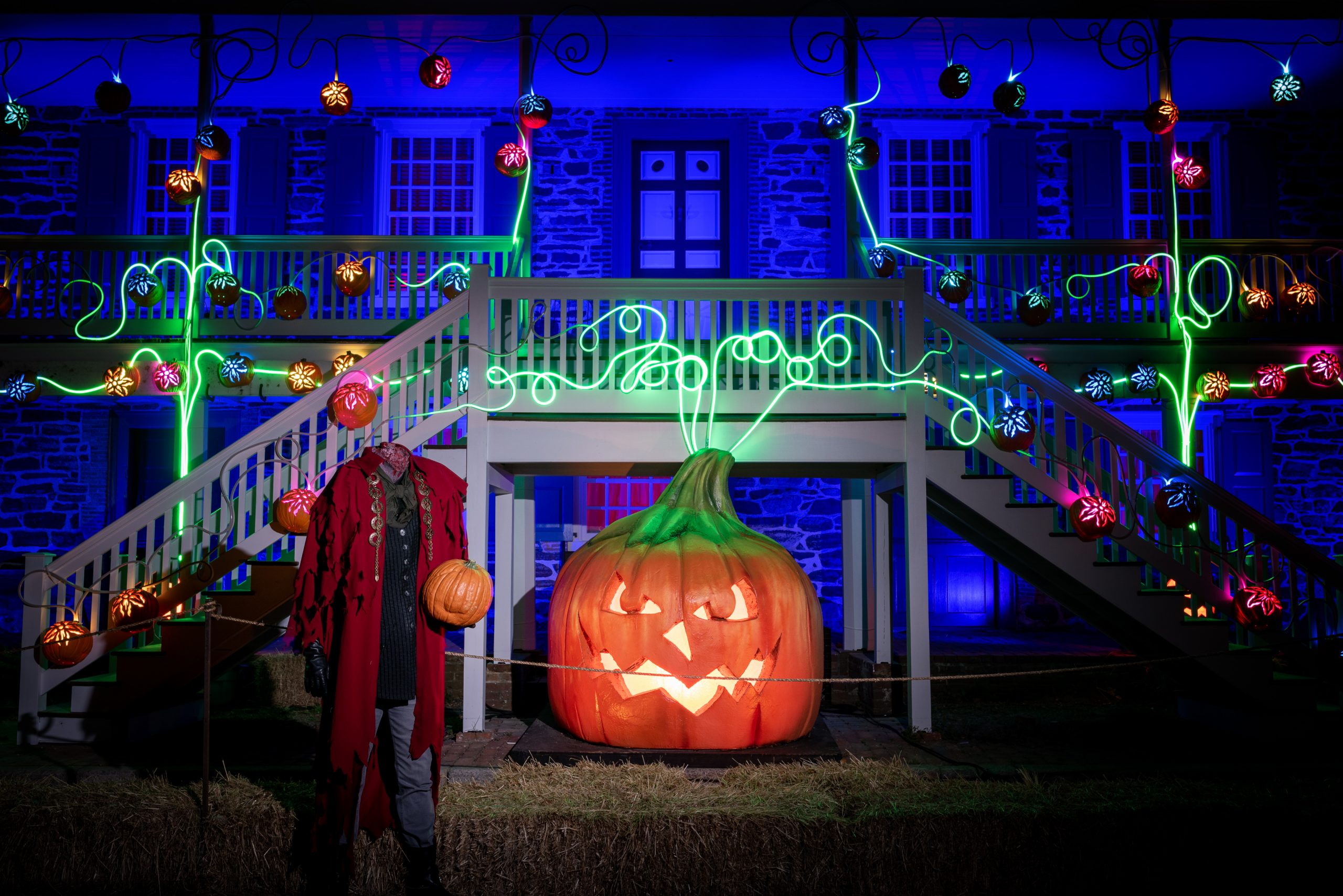 Great Jack OLantern Blaze