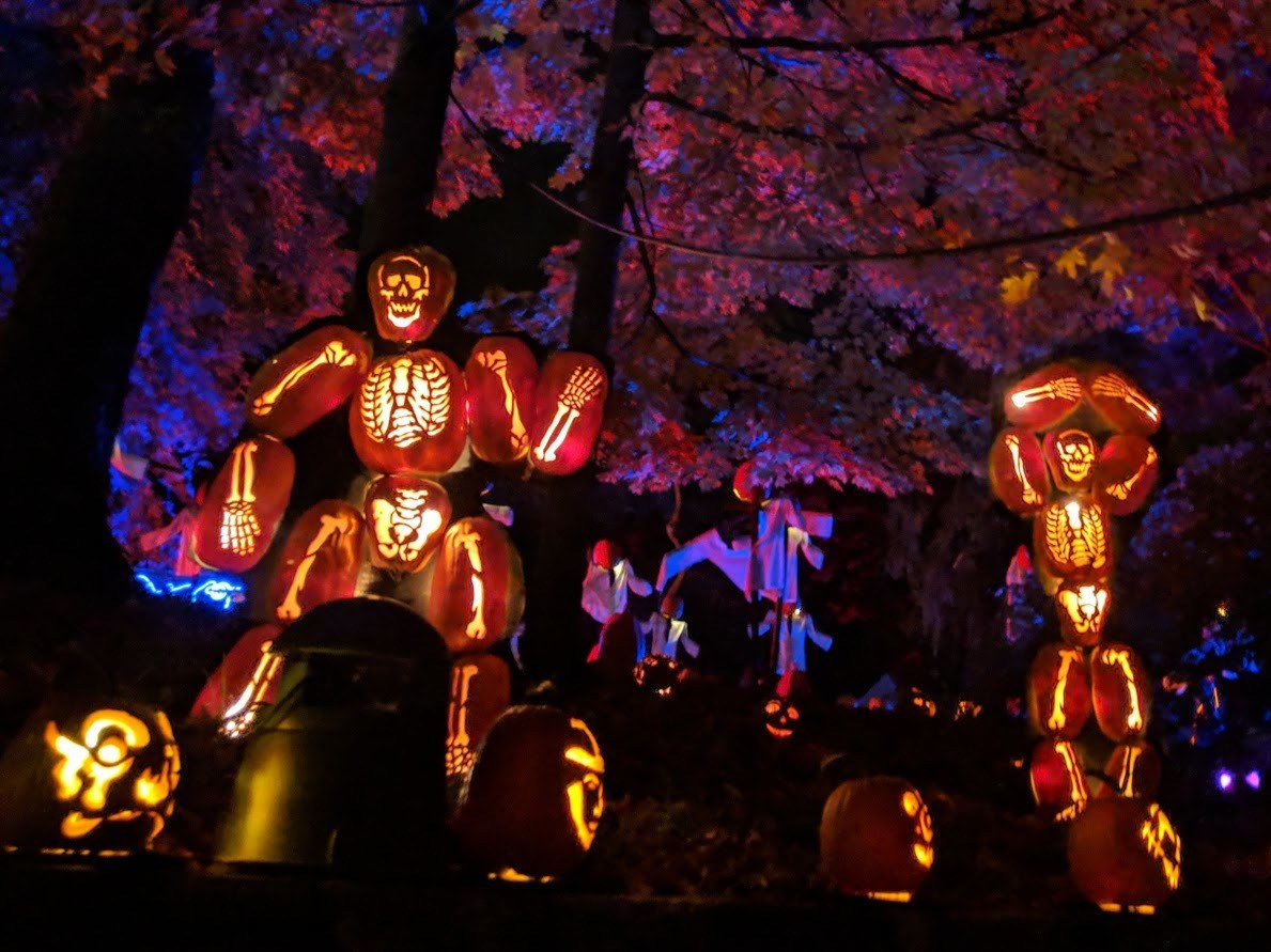 When Does The Great Jack O’lantern Blaze Happen