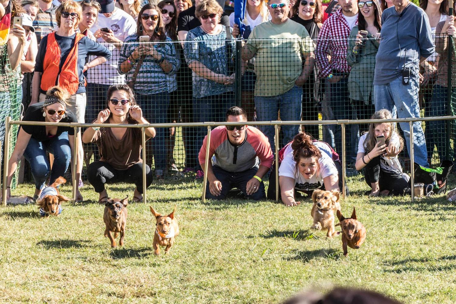Nashville Oktoberfest is just not a beer festival