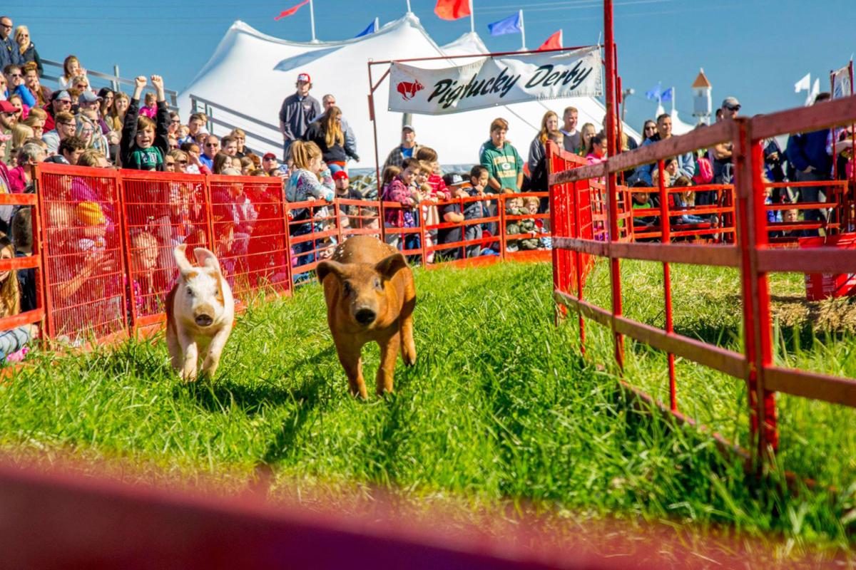 Activities And Vendors At New Sever Corn Maze And Fall Festival
