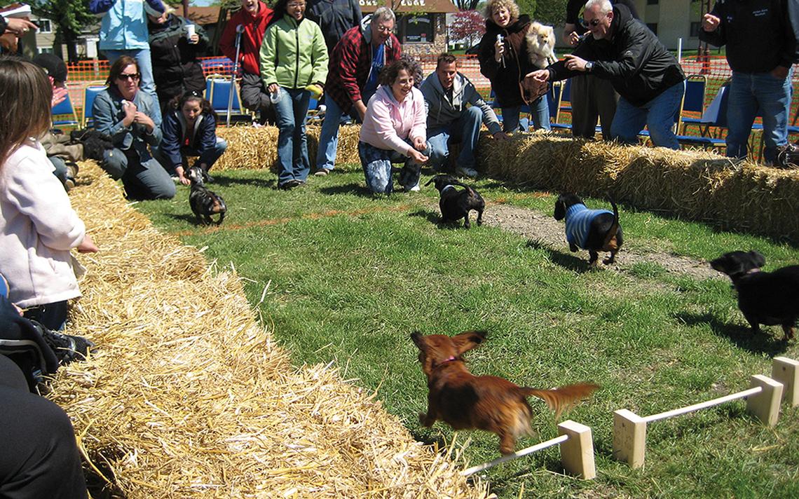 the “Barks & Brews” held on Sunday
