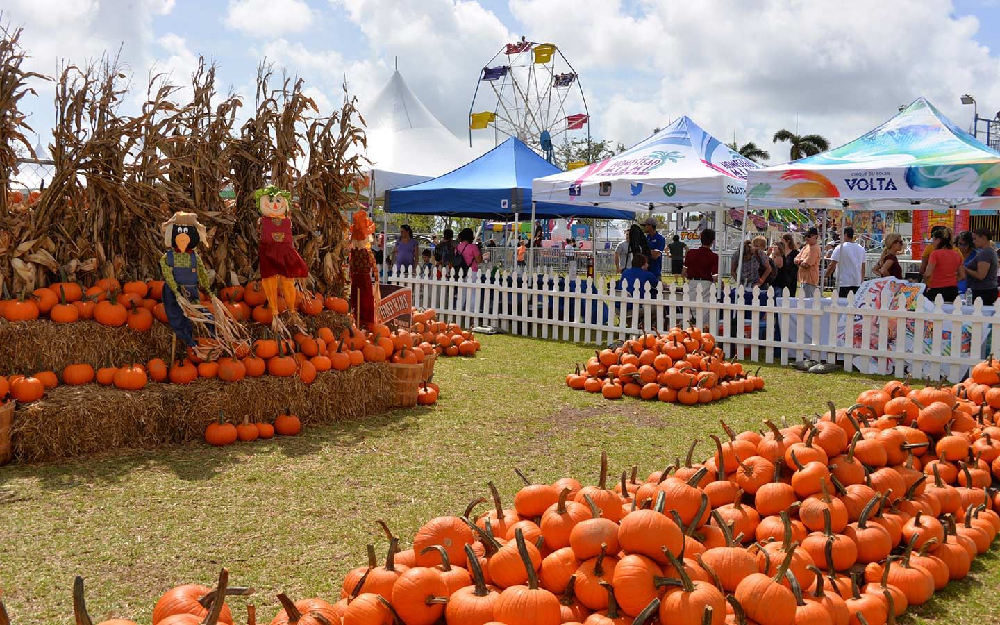 Coconut Grove Pumpkin Patch Festival