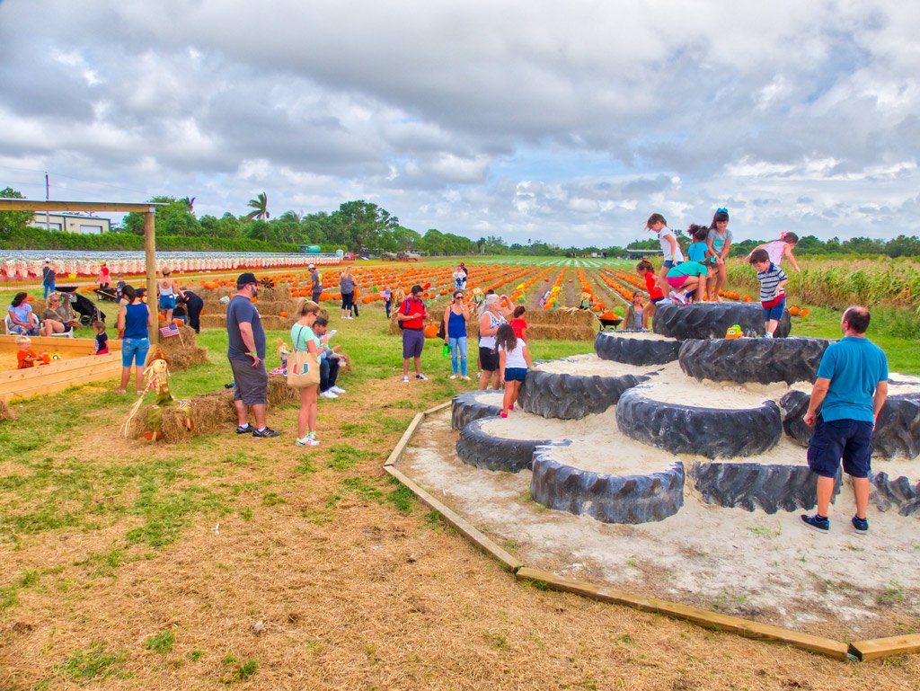 you can find all kinds of pumpkin-related features at the Pumpkin Towne