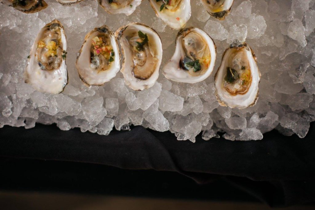 Maine OysterFest Sessions