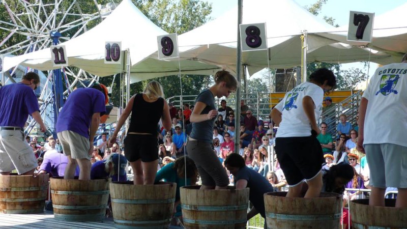 Fun activities during the fair