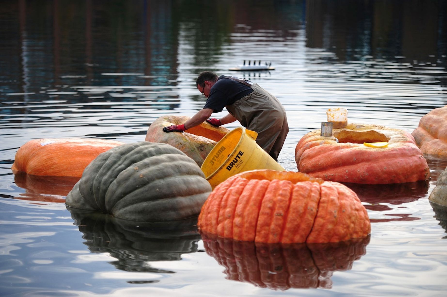 The Pumpkin Regatta is held at the Tualatin Lake of the Commons