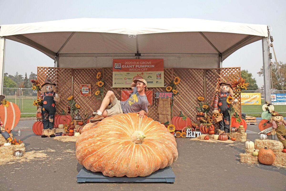 Pumpkins and Pints is a special event of the event