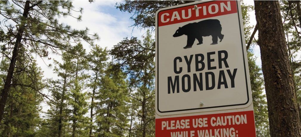 Cyber Monday memes bear caution funny