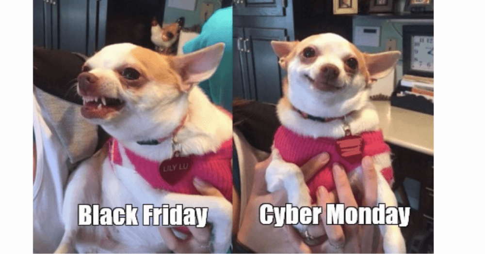 Cyber Monday memes funny dog Black Friday