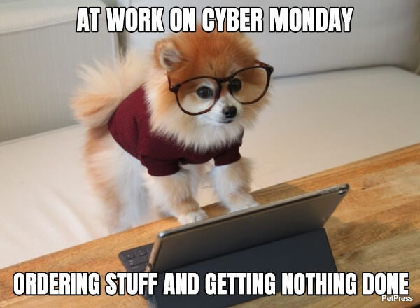 Cyber Monday memes dog at work get nothing done