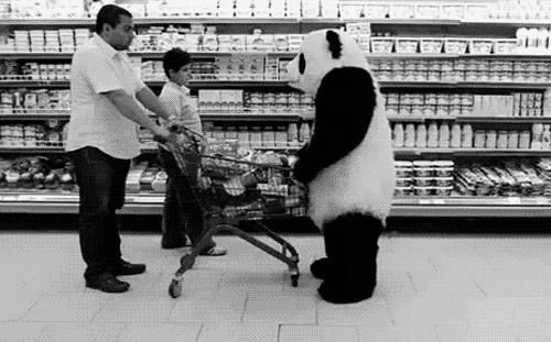 Black Friday Gifs panda shopping Black Friday Gifs panda shopping funny