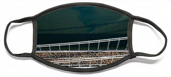 View Of The Crowd New York Marathon Mask