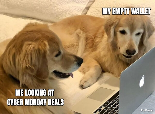 Me and my empty wallet looking at Cyber Monday deals memes