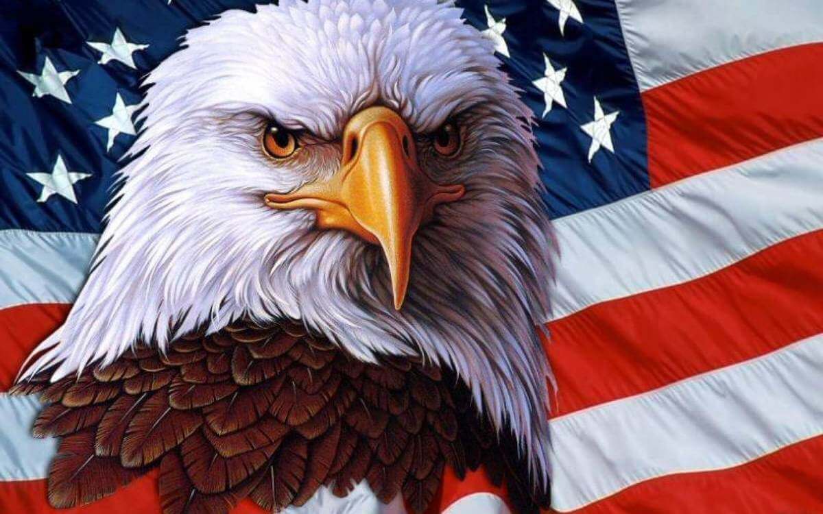 American Flag And Majestic BALD EAGLE PAINTING