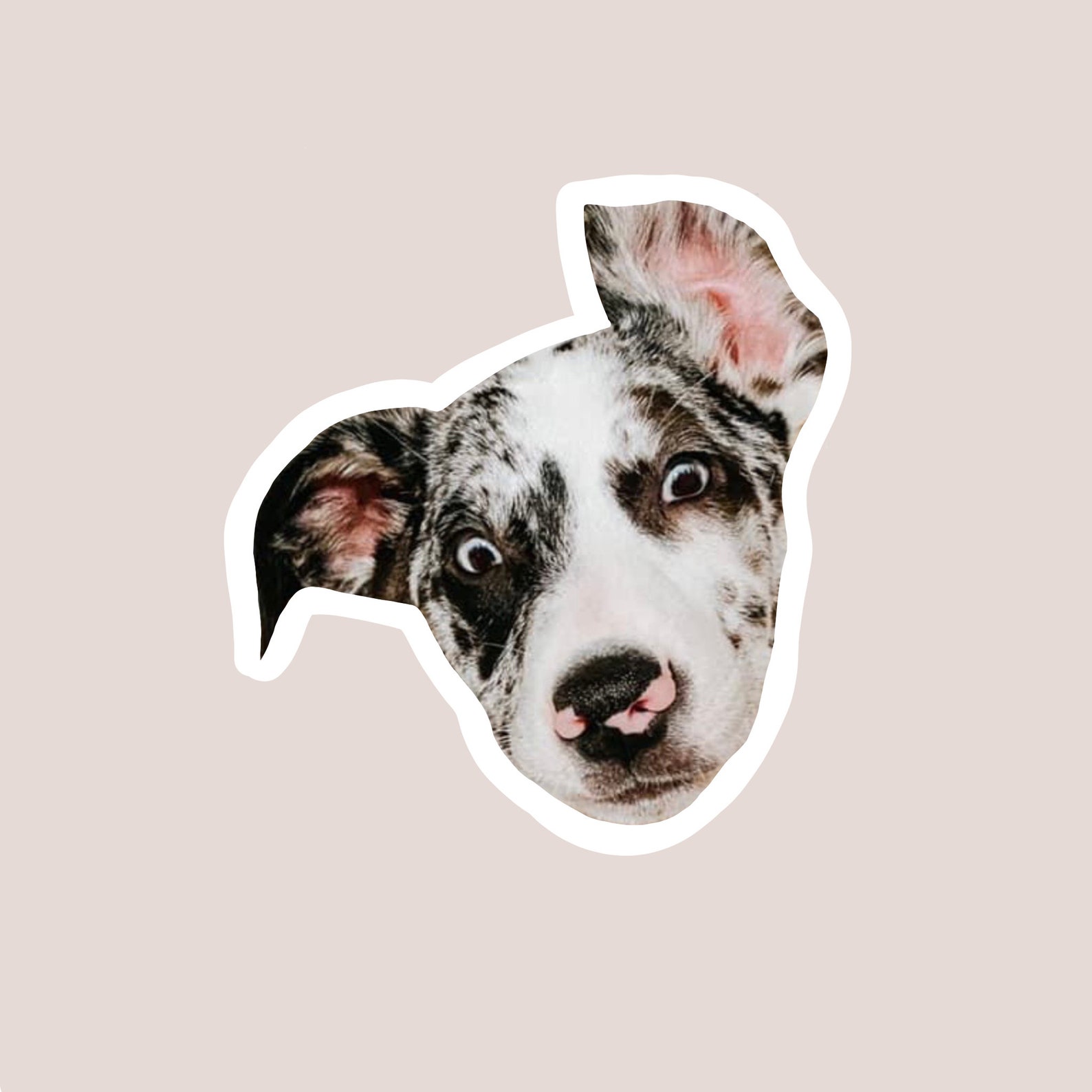 Funny Magnet Dog Sticker